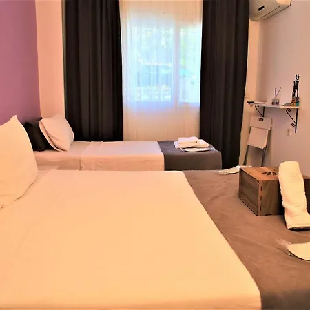 Lavender 3*