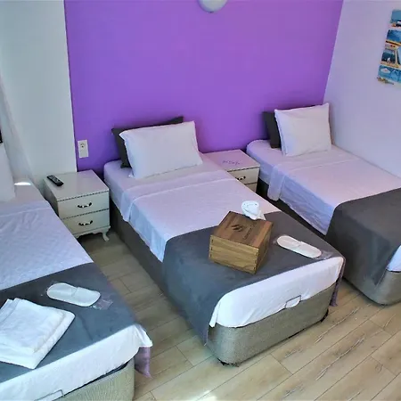Lavender 2*